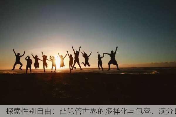 探索性别自由：凸轮管世界的多样化与包容，满分！