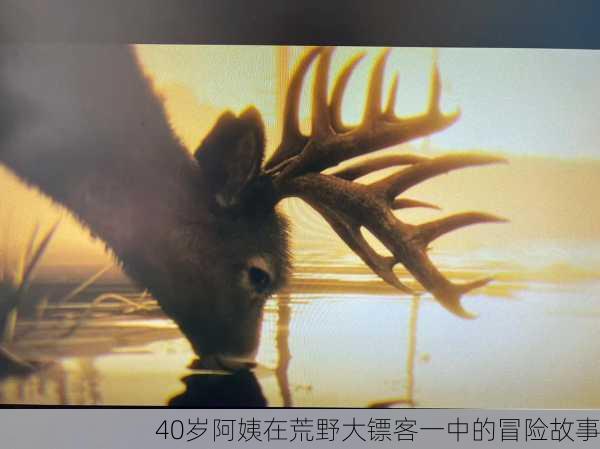 40岁阿姨在荒野大镖客一中的冒险故事