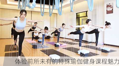 体验前所未有的特殊瑜伽健身课程魅力