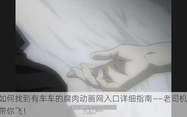 如何找到有车车的腐肉动画网入口详细指南——老司机带你飞！