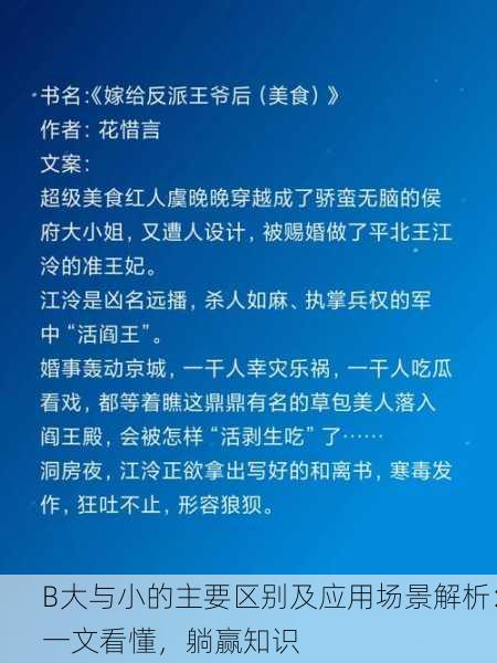 B大与小的主要区别及应用场景解析：一文看懂，躺赢知识