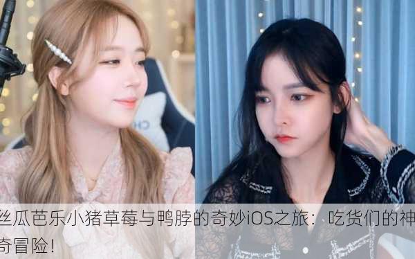 丝瓜芭乐小猪草莓与鸭脖的奇妙iOS之旅：吃货们的神奇冒险！