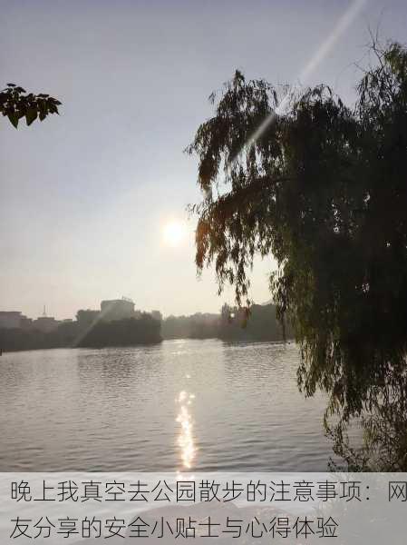 晚上我真空去公园散步的注意事项：网友分享的安全小贴士与心得体验