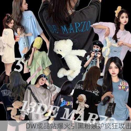 DW成品站爆火引黑粉嫉妒疯狂攻击
