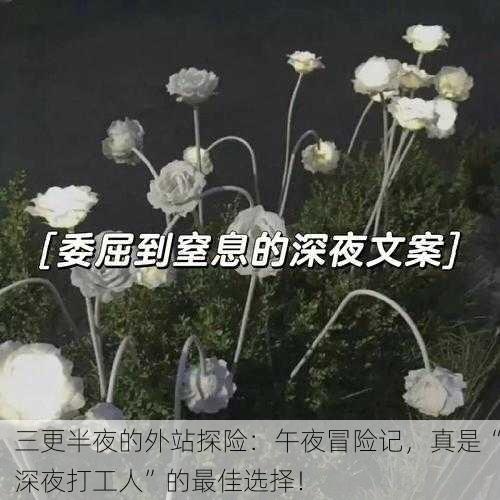 三更半夜的外站探险：午夜冒险记，真是“深夜打工人”的最佳选择！