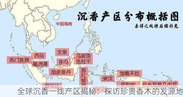 全球沉香一线产区揭秘：探访珍贵香木的发源地