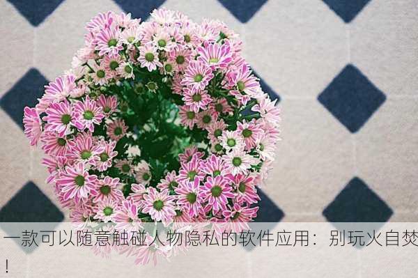 一款可以随意触碰人物隐私的软件应用：别玩火自焚！