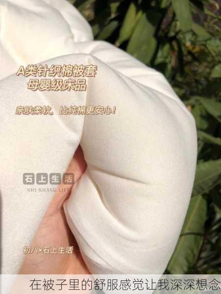 在被子里的舒服感觉让我深深想念
