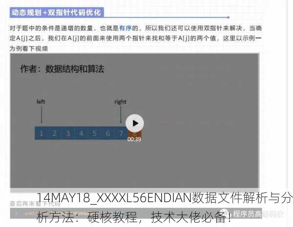 14MAY18_XXXXL56ENDIAN数据文件解析与分析方法：硬核教程，技术大佬必备！