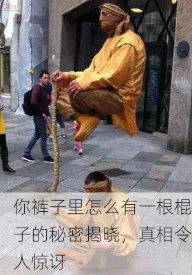 你裤子里怎么有一根棍子的秘密揭晓，真相令人惊讶