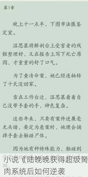 小说《陆晚晚获得超级胬肉系统后如何逆袭