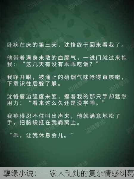 孽缘小说：一家人乱炖的复杂情感纠葛