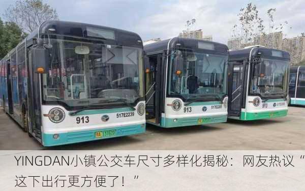 YINGDAN小镇公交车尺寸多样化揭秘：网友热议“这下出行更方便了！”