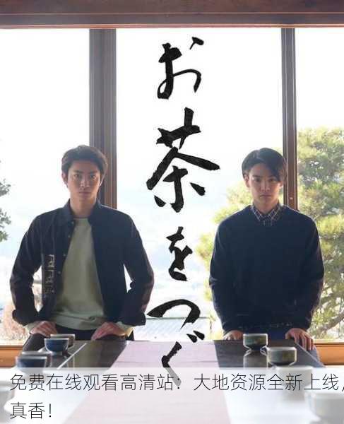 免费在线观看高清站：大地资源全新上线，真香！