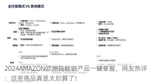 2024AMAZON欧洲站畅销产品一键掌握，网友热评：这些商品真是太划算了！