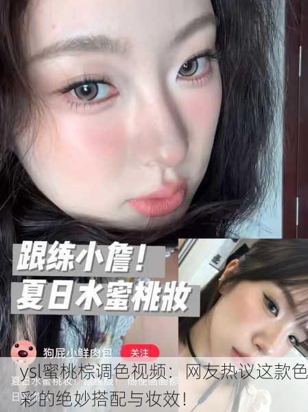 ysl蜜桃棕调色视频：网友热议这款色彩的绝妙搭配与妆效！