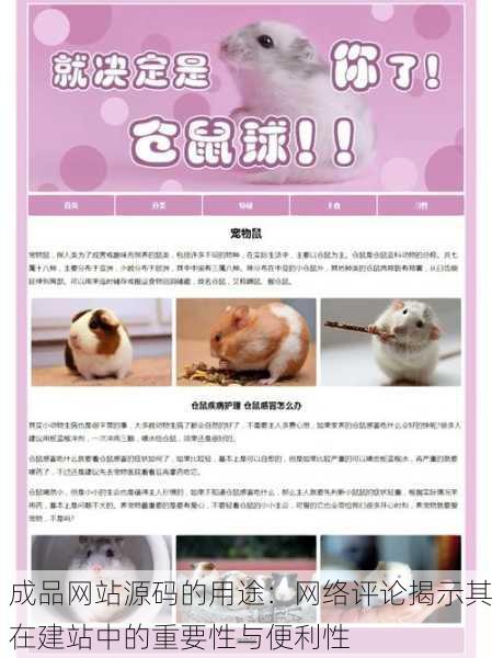成品网站源码的用途：网络评论揭示其在建站中的重要性与便利性