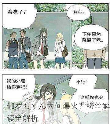 伽罗ちゃん为何爆火？粉丝解读全解析