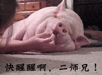 快拨出电话，我是你的母亲，请立即回电