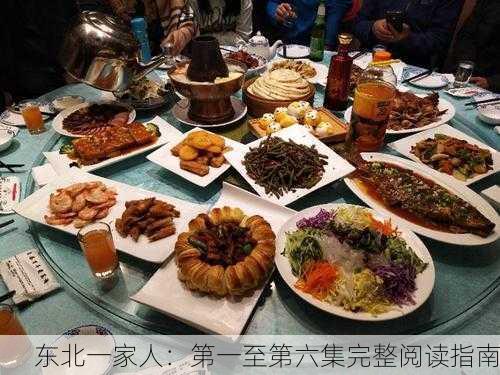 东北一家人：第一至第六集完整阅读指南