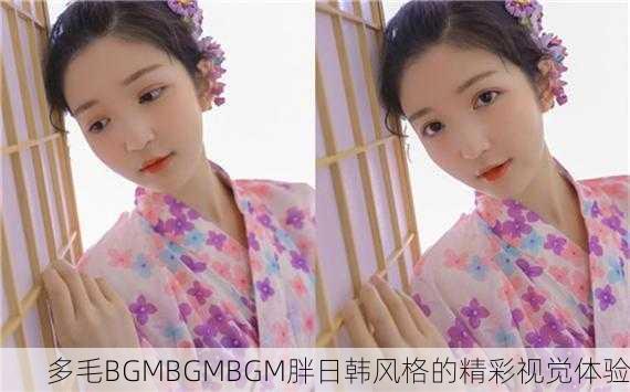 多毛BGMBGMBGM胖日韩风格的精彩视觉体验