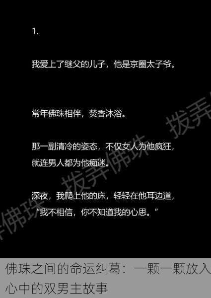 佛珠之间的命运纠葛：一颗一颗放入心中的双男主故事
