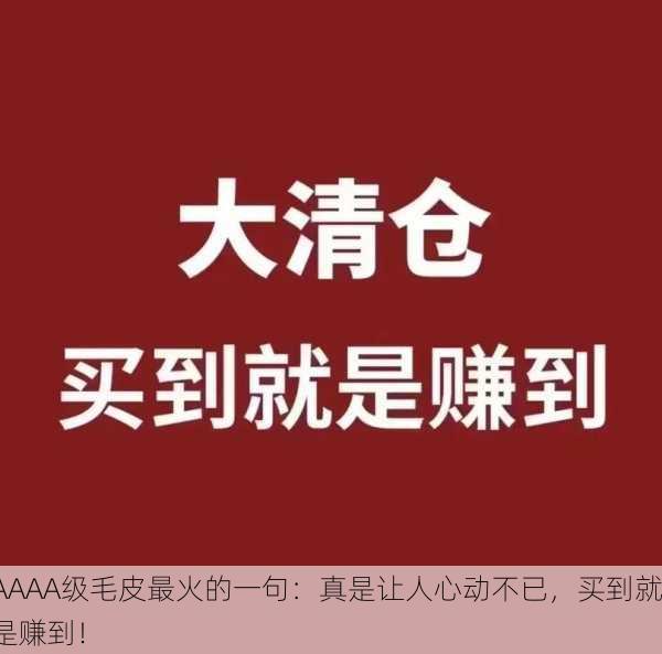 AAAA级毛皮最火的一句：真是让人心动不已，买到就是赚到！
