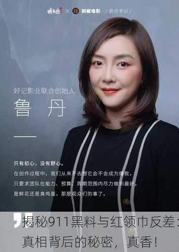 揭秘911黑料与红领巾反差：真相背后的秘密，真香！
