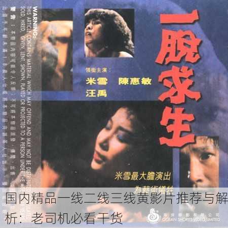 国内精品一线二线三线黄影片推荐与解析：老司机必看干货