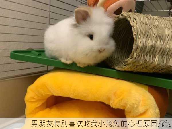 男朋友特别喜欢吃我小兔兔的心理原因探讨