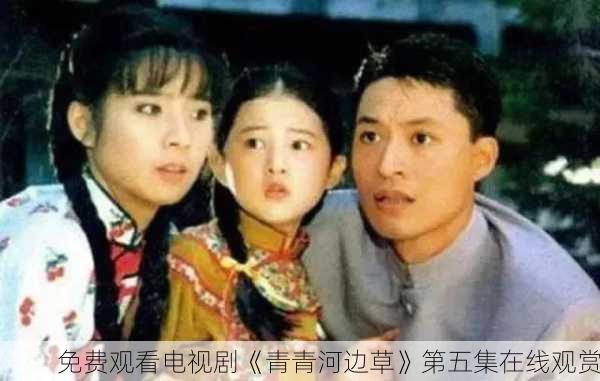 免费观看电视剧《青青河边草》第五集在线观赏