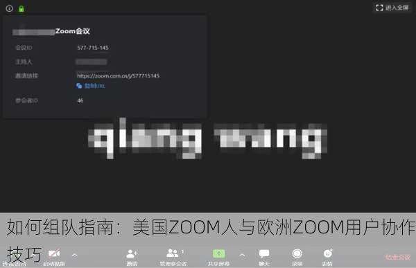 如何组队指南：美国ZOOM人与欧洲ZOOM用户协作技巧