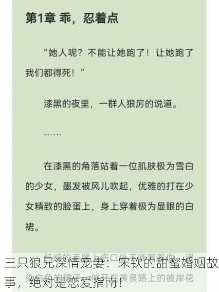 三只狼兄深情宠妻：宋钦的甜蜜婚姻故事，绝对是恋爱指南！