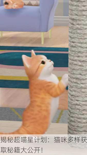 揭秘超喵星计划：猫咪多样获取秘籍大公开！