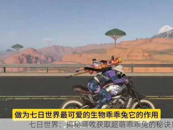 七日世界：揭秘高效获取超萌乖乖兔的秘诀！