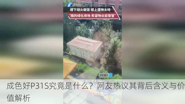 成色好P31S究竟是什么？网友热议其背后含义与价值解析