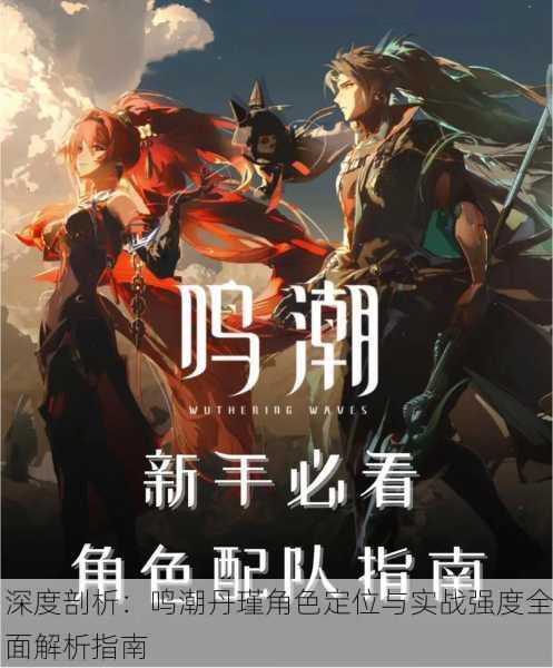 深度剖析：鸣潮丹瑾角色定位与实战强度全面解析指南