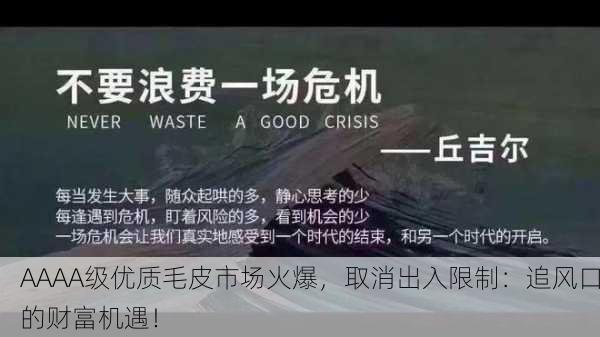 AAAA级优质毛皮市场火爆，取消出入限制：追风口的财富机遇！