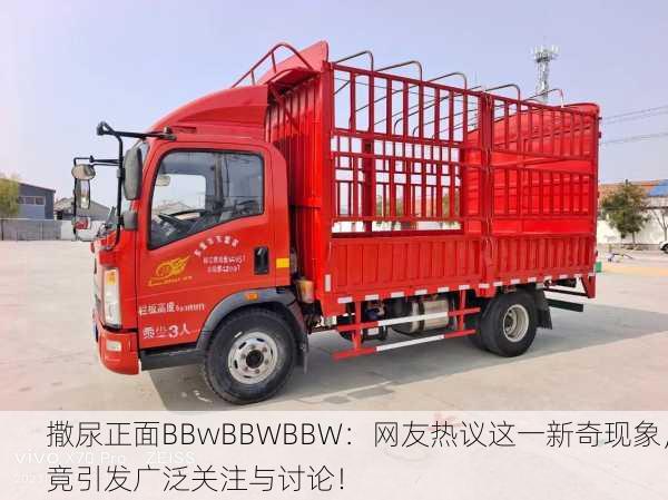 撒尿正面BBwBBWBBW：网友热议这一新奇现象，竟引发广泛关注与讨论！