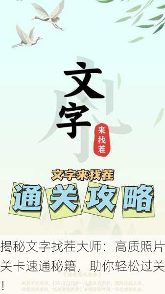 揭秘文字找茬大师：高质照片关卡速通秘籍，助你轻松过关！