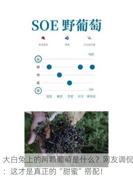 大白兔上的两颗葡萄是什么？网友调侃：这才是真正的“甜蜜”搭配！