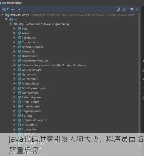 Java代码泄露引发人狗大战：程序员面临严重后果