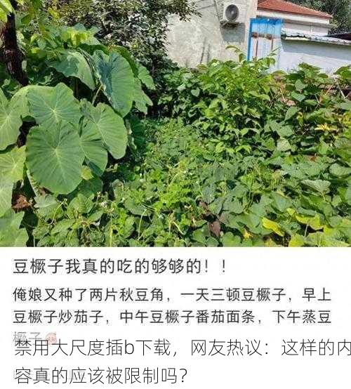禁用大尺度插b下载，网友热议：这样的内容真的应该被限制吗？