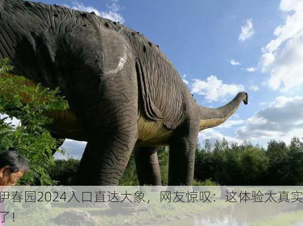 伊春园2024入口直达大象，网友惊叹：这体验太真实了！