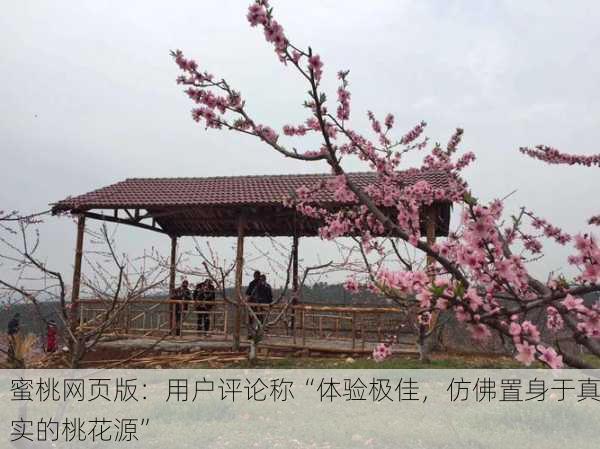 蜜桃网页版：用户评论称“体验极佳，仿佛置身于真实的桃花源”