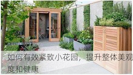 如何有效紧致小花园，提升整体美观度和健康
