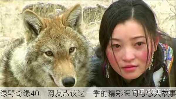 绿野奇缘40：网友热议这一季的精彩瞬间与感人故事