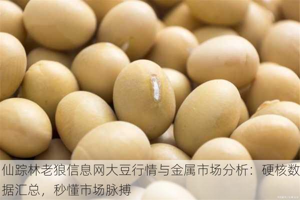 仙踪林老狼信息网大豆行情与金属市场分析：硬核数据汇总，秒懂市场脉搏