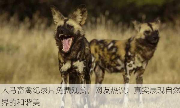 人马畜禽纪录片免费观赏，网友热议：真实展现自然界的和谐美
