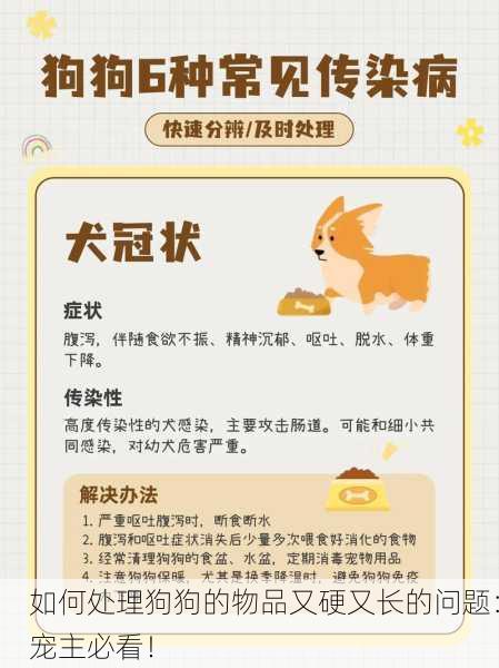 如何处理狗狗的物品又硬又长的问题：宠主必看！